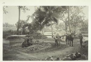 Sugar-cane press