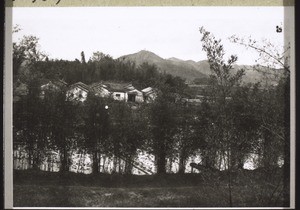 Landscape with bamboo trees