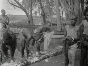 Girls of the school washing their uniforms ; we see the scaffolding of the bells