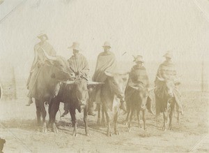 Shepherds going to the evening school