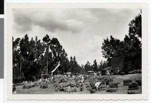 Hay market, Adis Abeba, Ethiopia, 1938-12-15