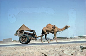 Aden transportation 1965