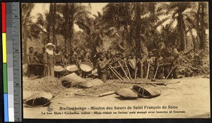 Good corn crop, Mwiliambongo mission, Congo, ca.1920-1940