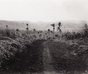 Road, in Cameroon