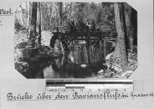 Women on a bridge in the wood, Genadendal, South Africa