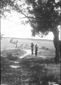 African people coming back from the well, Ricatla, Mozambique