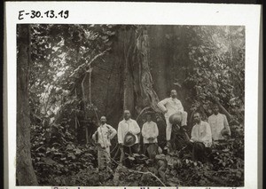 Spaziergang in Victoria. Greule, Leimenstoll, Gruner, Krauss