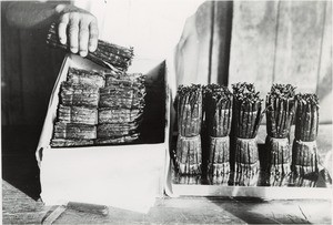 Packing-up of vanilla pods, in Madagascar