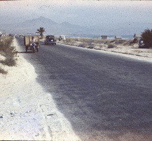 Road in the country