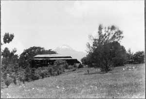 Mount Kibomawenzi?, Mamba, Tanzania, ca.1909-1914