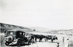 Crossing the Orange river by car (on the way to Massitissi)