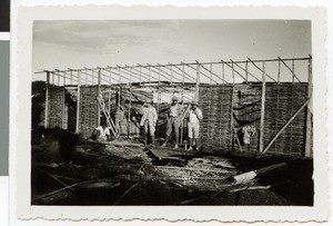 Construction of the polyclinic at the mission station, Bedele, Ethiopia, 1934