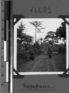 Maasai women, Tanzania, 1938-1939