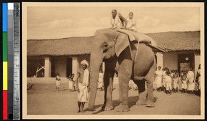 Riding an elephant, India, 1920-1940