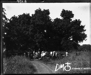 Transport of supplies, Antioka, Mozambique, ca. 1896-1911