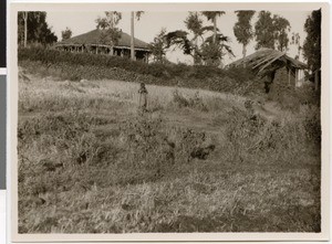 Ruined house of a Dejazmach, Ethiopia