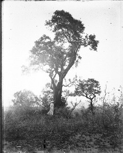 European woman, Shilouvane, South Africa