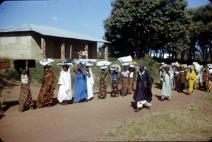 Wedding party, Ngaoundéré, Adamaoua, Cameroon, 1953-1968