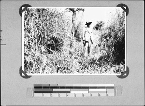 A European man standing in a meadow, Nyasa, Tanzania, 1938