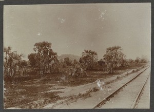 Railway tracks in natural landscape, Tanzania