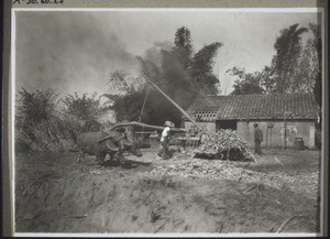 Sugar cane press and refinery