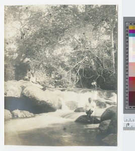 Domasi river, Malawi, ca.1904