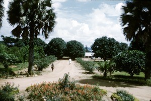 View from the porch, Ngaoundéré mission, Adamaoua, Cameroon, 1953-1968