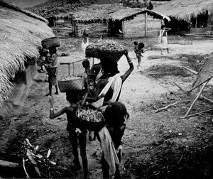 East Jeypore, India. From a Khond village of the Bissamcuttack area. The women return home with