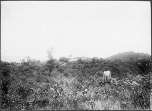 View of the school, Tenga, Tanzania, ca.1911-1914