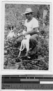 Portrait of a man with two dogs, Mexico, ca. 1948