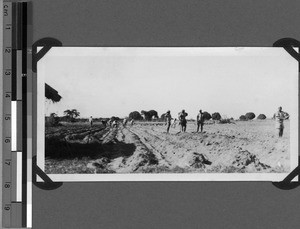 Seminarists working on a field, Unyamwezi, Tanzania