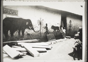 Wall paintings on the outside of a compound in Benin near Mampong (Asante)