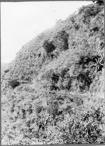 Nanga canyon, Mamba, Tanzania, ca.1901-1910