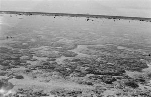 Lagoon of the Maupiti island