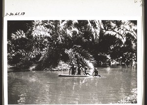 Boys bathing under palm trees