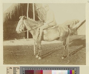 Man on horseback, Kikuyu, Kenya, ca.1901