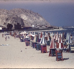 Umbrellas and chairs on the beach