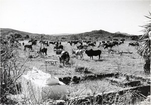 Tombs between Ambolibe and Diego, in Madagascar