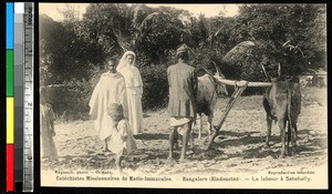 Man plowing a field, Bengaluru, India, ca.1920-1940