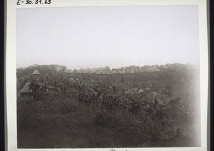 Der alte Königspalast in Bamum von der Ferne gesehen