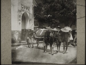 Rev. Maisch' coffin