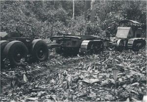 Trucks in the forest, in Cameroon