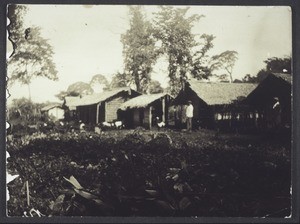 Huts for the goats