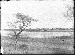 Lake near Catuane, Mozambique, ca. 1901-1907