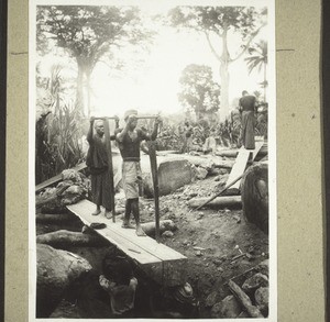 Jaunde sawyers near Moliko (Buea)