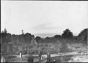 Mt. Meru seen from Shira, Shira, Tanzania, ca.1900-1914