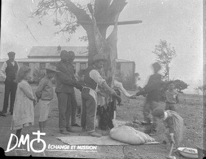 Missionary butchering and animal, South Africa, ca. 1896-1911