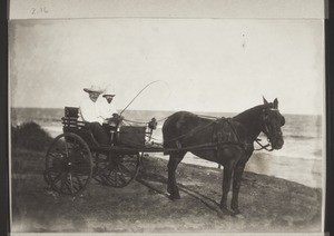 Unserem lieben Papa Rösle in dankbarer Liebe gewidmet, Dautermann (?), Bornemann' das Pferd Carlos in Accra von den Canary Islands