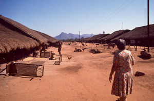 Dr. Lis Madsen in a tribal village near Bissamcuttak