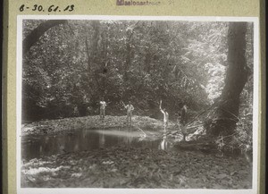 On the road between Kolam and Moboen. A part of our route which was made to help us cross a stream. (Rev. Reiter)